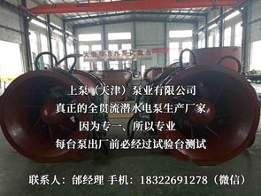 探索流體世界的隱秘力量 潛水貫流泵、全貫流閘門(mén)泵、燈泡泵與臥式全貫流泵技術(shù)解析